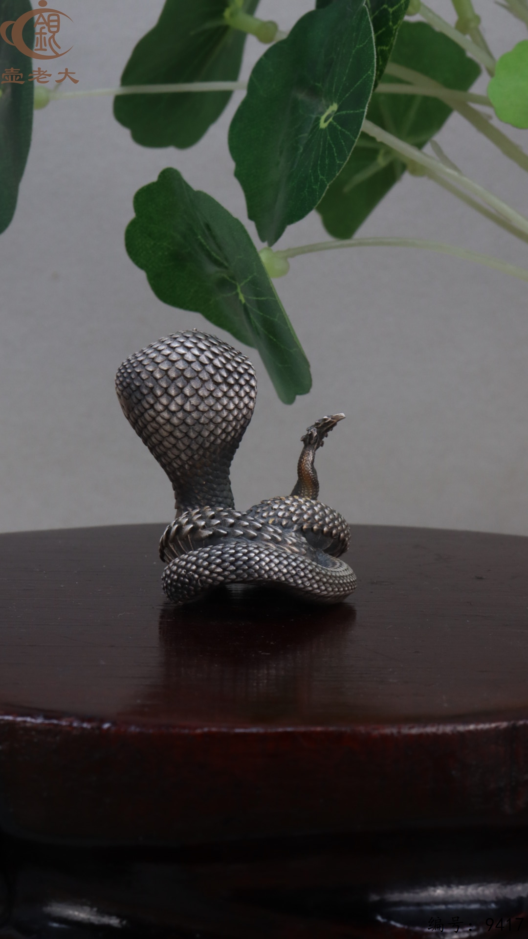 微信图片_20250520174905